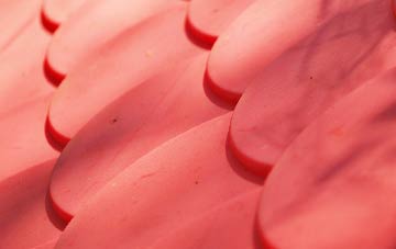 Coed Y Garth plastic roof costs